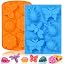 Orange+Blue / Dragonfly+Butterfly+Ladybug