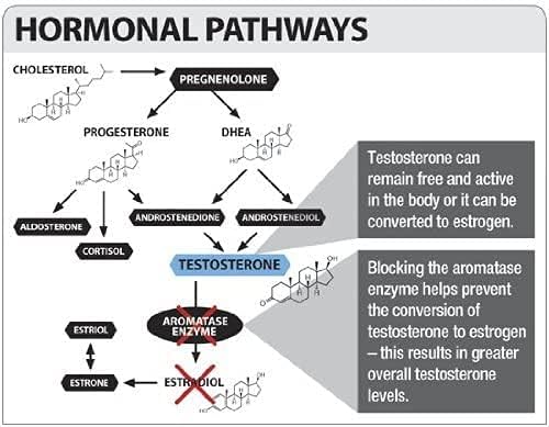 Miniatura 3 de VMI Sports  Compuesto endurecedor de arimidrol  Bloqueador de estrógeno natural para hombres  Refuerzo de testosterona e inhibidor de la aromatasa