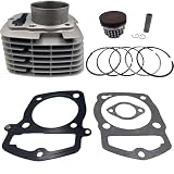 TOP IMSLCHR Motorcycle Cylinder Piston Rebuild Kit, 67mm, Compatible with Honda CRF230 FTR223 XR230 SL230, 2003-2019