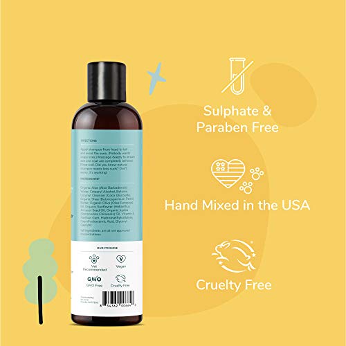 Kin+Kind Natural Pet Shampoo + Conditioner For Itchy Dogs And Cats - Dog Shampoo For Itchy Skin - Cat & Dog Shampoo And Conditioner With Activated Charcoal & Moisturizing Shea Butter - Made In Usa #TOP4