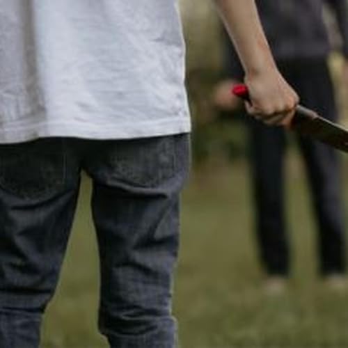 school stabbings ignite security gate debate