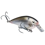 Strike King KVD 1.5 Square Bill Crankbait, Natural Shad (HCKVDS1.5-699)