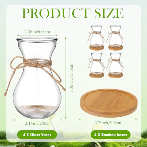 Foldtier FOLDTIER-KITS-DSZFM59746 Glass Bulb Vases For Flowers Forcing Hyacinth Clear Vase Decorative Bulb Vase With Round Bamboo Coaster thumb #1