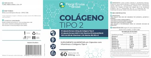 Colágeno Tipo 2 I I 60 Cápsulas + Vitaminas Máximo 1 Ao Dia