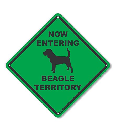 Panneau en plastique Now Entering Beagle Territory 25,4x25,4 cm vert