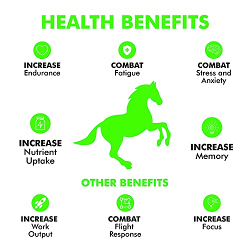 Metahorse Equine Pre-Workout, Calming, Horse Vitamin Mineral Supplements, Top Line, Focus, Barrel Racing #TOP5