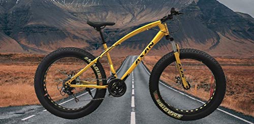 axan fat bike
