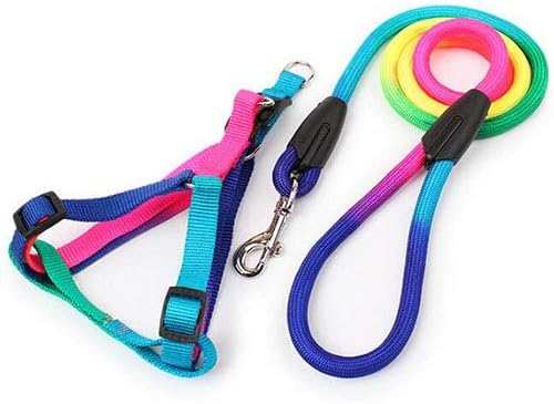 rainbow dog leash