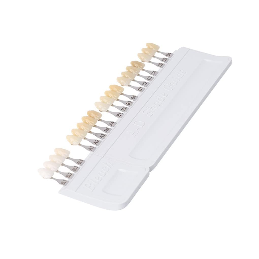 Porcelana AD Guida Colori Denti Dentali 20 Colori