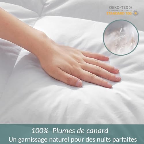 Couette gonflant maximal SAMPUR 100% plumes isolation optimale 140x200
