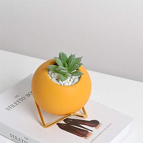 Pentole Pianta 1Pc Vaso di Fiori Planter Macetas Vaso Groot Macetas Decorativas Semplice Durevole succulente Vaso da Fiori Vaso di Fiori for L'Ufficio per Tutte Le Piante da casa, i Fiori, Le Erbe