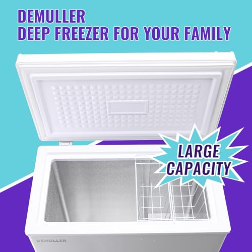 Walk-in freezer cold storage large