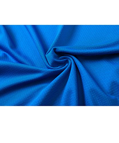 Vidusou Ladies Golf Shirts,Tennis Polo Womens Moisture Wicking Shirts Gym Shirts V Neck Lapel Collared Shirts Casual Summer Clothes Blue Large #TOP4