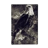 artboxONE Metall-Poster 20x30 cm Natur Eagle Portrait von 