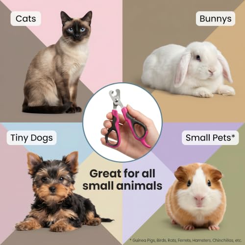 Image of Tpotato Cat Nail Clipper with Nail File,Stainless Steel Cat Nail Trimmer for Indoor Cats,Professional Kitten Nail Clipper for Small Large Adult Cats Claws and Toenail