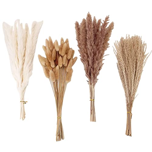 Ewzayol Pampas Gras Getrocknet,75 Stück Pampas Gras trockenblumen Deko,Braun Weiß Natürlich Pampas Gras Trockenblumen Pflanzen,Dried Flowers für Blumen Arrangements Heim Decor hochzeitsdeko