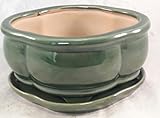 Bonsai Tree Pot creative design green 6 Inch Bonsai Pots with Trays- unique from Jmbamboo