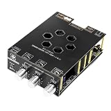 Nicear Placa amplificadora T3002P, chip TPA3255, 300 W x 2, módulo amplificador de audio con altavoz Bluetooth estéreo DC19-51 V y carcasa.