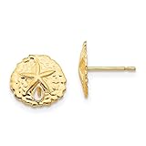 Madi K 14K Yellow Gold Sand Dollar Post Earrings (Approximate Measurements 10mm x 10mm)
