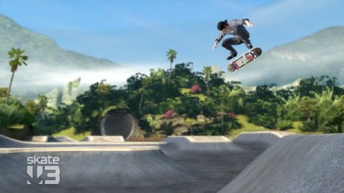 スケート3 (Skate3)の関連画像6