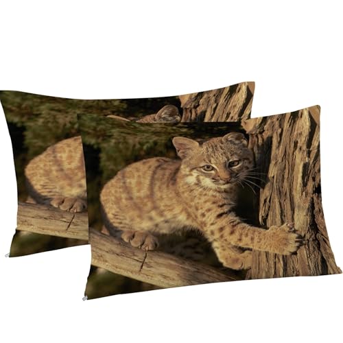 Housse de couette 200x200 chat infroissable en microfibre douce avec zip - 8