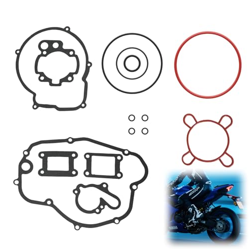 ​Flewdart dichtung für Minarelli AM6 50cc Motor​​ Zylinderdichtung Dichtungssatz AM6 für MBK (Xlimit/Xpower), Ya-ma-ha (TZR/DT), Aprilia (RS), Peu-geot (XP6-XPS), Beta, Rieju, Dichtungen für Kupplung