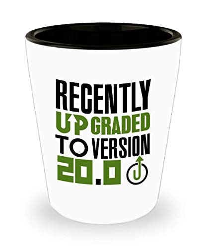 Gamer, Birthday Shot Glass, Funny Gift for Gamer, Birthday - Recently Upgraded To Version 20.0 Computer Games, Play Station, Wii, Xbox Ceramic Cup Nov