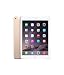 Apple iPad Air 2 16GB Factory Unlocked (Gold, Wi-Fi + Cellular 4G, Apple SIM) Newest Version