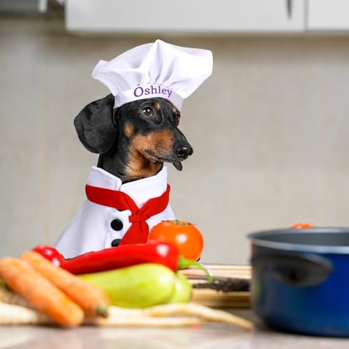 Sombrero de Chef Personalizado para Perro Bordado miniatura 5