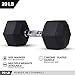 Day 1 Fitness Rubber Hex Dumbbell Shaped Heads to Prevent Rolling and Injury - Ergonomic Hand Weights for Exercise, Therapy, Building Muscle, Strength and Weight Training - 20 lb Single