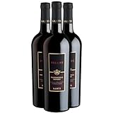 Valpolicella Ripasso Solane - Rouge 2020 - Santi - Vin Rouge d'Italie (3x75cl)