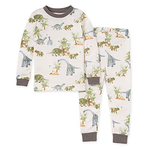 Burt's Bees Baby Boys 2-Piece Pajama Set with T-Shirt and Pants