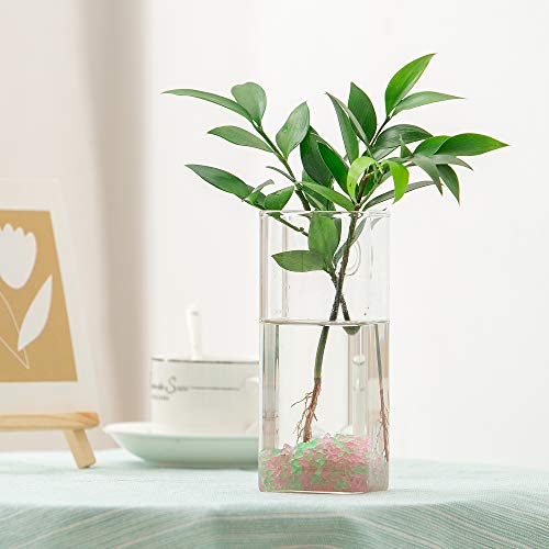 Planter Terrariums - 2 Pack Glass Terrariums Hanging Vase Terrariums For Hydroponic Plants,Flower,Indoor Outdoor Home Garden Decoration #TOP3