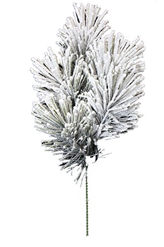 Renaissance Pine