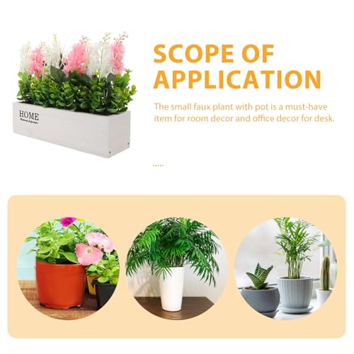 Plantes décoratives d'intérieur jacinthe rose blanc sans entretien avec pot