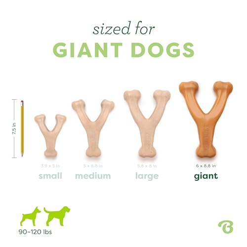 Image of Benebone Wishbone Durable Dog Chew Toy for Aggressive Chewers, Real Chicken, Made in USA, Giant