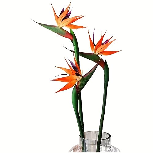 HAOSHICS Lot de 3 oiseaux paradisiaques artificiels Strelitzia - Plantes artificielles en soie, Fausses Fleurs, Fausse Plante pour maison, bureau, mariage, centre de table