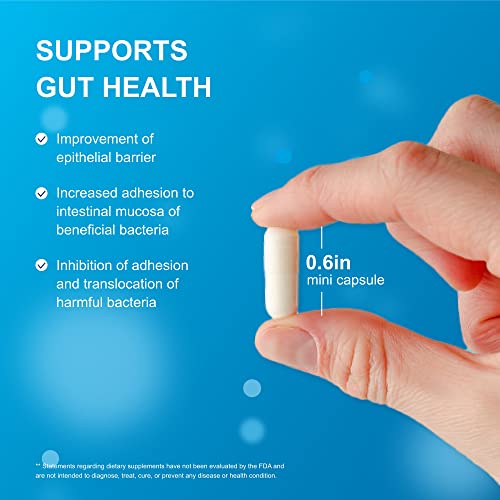 Life-Space Shape B420™ Probiotics, Clinically Studied Strains, Supplement For Women And Men, Supports Digestive Health And Metabolic Rate, 2-Month Serving - 60 Vegetarian Capsules #TOP4