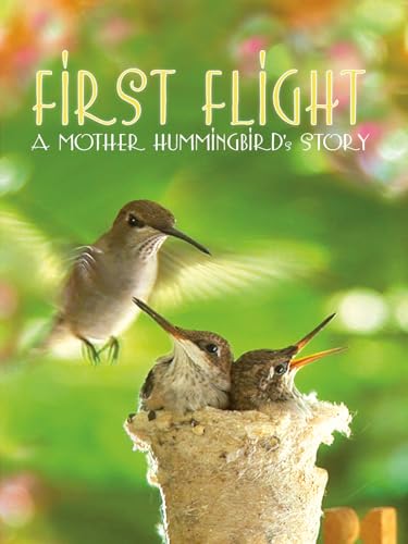 First Flight: A Mother Hummingbird's Story
