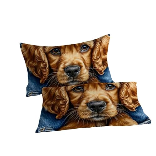 Housse de couette 260x220 fermeture éclair pour lit garçon