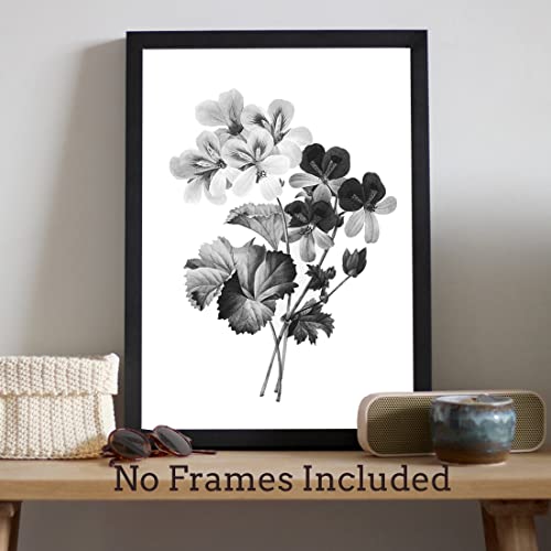 Abstract Botanical Wall Art Decor, Set Of 4 Black And White Herb Flowers Canvas Print Pictures Modern Minimalist Artwork For Living Room Bedroom Bathroom Decoration Gifts, Unframed 8X10 Inches #TOP5
