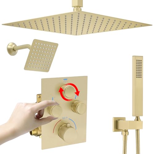Dual Shower Heads System with Rain & Wall Heads