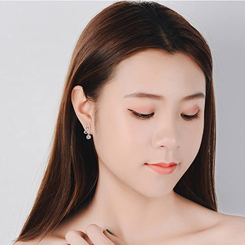Small Hoops Earrings Elegant Wing Shinning Rhinestone Wing Dangle Earring For Women Zircon Women (Silver #1, One Size) #TOP4