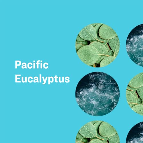 Image of SOAP PACIFIC EUCALYPTUS