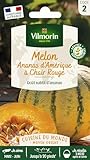  Sachet graines melon ananas