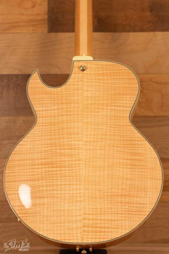 Ibanez Lgb30 George Benson Signature Hollowbody Electric Guitar Natural #TOP3