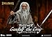 Beast Kingdom The Lord of The Rings: Gandalf The Grey DAH-106SP Dynamic 8-ction Heroes Action Figure