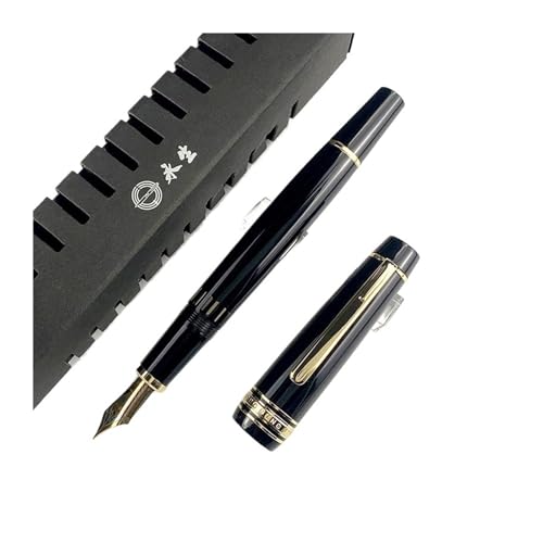 Stylo-plume à fenêtre contre les pannes d'encre pointe fine F glisse fluide