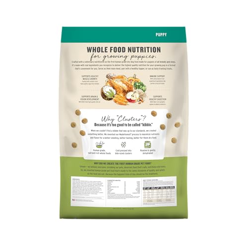 Image of The Honest Kitchen Puppy Whole Grain Chicken & Superfoods Whole Food Clusters, Vet Crafted Human Grade Dry Dog Food for Puppies, Supports Brain & Eye Health, Healthy Growth & Digestion, 20 lb Bag