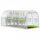 Folientunnel Gewächshaus 400x250x200 cm mit Fenstern und Zwei Türen UV4 Gartentunnel für Gemüse Tomaten Pflanzen mit Moskitonetz stabile Konstruktion Springos